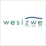 Wesizwe Platinum Ltd.